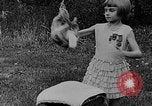 Image rabbit hypnotisé Glen Ellyn Illinois USA, 1930, de la seconde 14 séquences d'archives historiques vidéo 65675054980