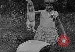 Image rabbit hypnotisé Glen Ellyn Illinois USA, 1930, de la seconde 55 séquences d'archives historiques vidéo 65675054980