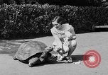 Image of world's oldest tortoise San Francisco California USA, 1930, second 14 stock footage video 65675054981