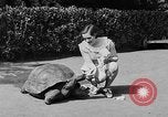 Image of world's oldest tortoise San Francisco California USA, 1930, second 15 stock footage video 65675054981