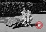 Image of world's oldest tortoise San Francisco California USA, 1930, second 16 stock footage video 65675054981