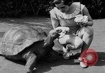 Image of world's oldest tortoise San Francisco California USA, 1930, second 22 stock footage video 65675054981