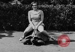 Image of world's oldest tortoise San Francisco California USA, 1930, second 38 stock footage video 65675054981