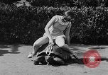 Image of world's oldest tortoise San Francisco California USA, 1930, second 40 stock footage video 65675054981