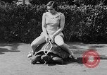 Image of world's oldest tortoise San Francisco California USA, 1930, second 46 stock footage video 65675054981