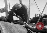 Image of world's largest conduit New York United States USA, 1930, second 20 stock footage video 65675054982