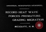 Image of goat herd Mesquite New Mexico USA, 1931, second 1 stock footage video 65675054991