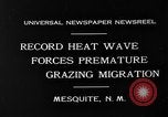 Image of goat herd Mesquite New Mexico USA, 1931, second 7 stock footage video 65675054991