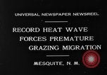 Image of goat herd Mesquite New Mexico USA, 1931, second 8 stock footage video 65675054991