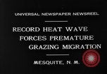 Image of goat herd Mesquite New Mexico USA, 1931, second 10 stock footage video 65675054991