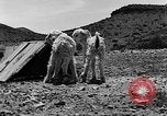 Image of goat herd Mesquite New Mexico USA, 1931, second 30 stock footage video 65675054991