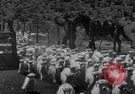 Image of goat herd Mesquite New Mexico USA, 1931, second 48 stock footage video 65675054991