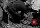 Image of Barney Bozant Chicago Illinois USA, 1931, second 40 stock footage video 65675054992