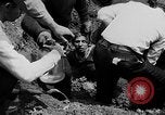 Image of Barney Bozant Chicago Illinois USA, 1931, second 51 stock footage video 65675054992
