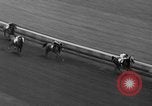 Image of Equipoise wins race Saratoga Springs New York USA, 1933, second 60 stock footage video 65675054999