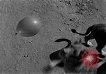 Standbild löwejunge El Monte California USA, 1933, aus Sekunde 29 historischem Filmmaterial Videoclip 65675055008