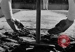 Image of Ted Allen Long Beach California USA, 1934, second 19 stock footage video 65675055012