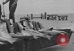 Immagine di Auto anfibia Padre Island Texas USA, 1934, secondo 54 filmato di repertorio 65675055014