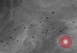 Standbild Air Show Miami Florida USA, 1934, aus Sekunde 46 historischem Filmmaterial Videoclip 65675055018