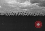 Standbild Tod von König Albert von Belgien Brüssel Belgien, 1934, aus Sekunde 23 historischem Filmmaterial Videoclip 65675055019