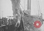 Standbild yacht Uvira Norfolk Virginia USA, 1934, aus Sekunde 51 historischem Filmmaterial Videoclip 65675055020
