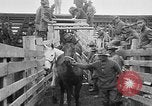 Image Expédition punitive au Mexique United States USA, 1916, de la seconde 60 séquences d'archives historiques vidéo 65675055034