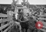 Image Expédition punitive au Mexique United States USA, 1916, de la seconde 61 séquences d'archives historiques vidéo 65675055034