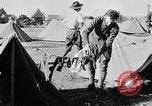 Immagine di La guardia nazionale truppe si accamparono a Fort Bliss El Paso Texas United States USA, 1916, secondo 6 filmato di repertorio 65675055035