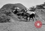 Image of American Army units in Mexico pursue Pancho Villa Mexico, 1914, second 36 stock footage video 65675055037