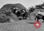Image of American Army units in Mexico pursue Pancho Villa Mexico, 1914, second 37 stock footage video 65675055037
