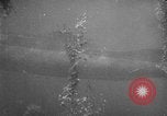Image of German merchant submarine Deutschland Europe, 1916, second 47 stock footage video 65675055044