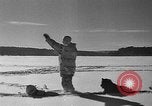 Immagine di Mail in cane slitta trainata Minot Maine USA, 1935, secondo 14 filmato di repertorio 65675055056