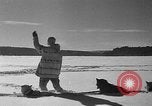 Immagine di Mail in cane slitta trainata Minot Maine USA, 1935, secondo 15 filmato di repertorio 65675055056