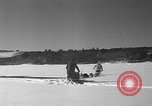 Immagine di Mail in cane slitta trainata Minot Maine USA, 1935, secondo 24 filmato di repertorio 65675055056