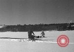Immagine di Mail in cane slitta trainata Minot Maine USA, 1935, secondo 25 filmato di repertorio 65675055056