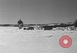 Immagine di Mail in cane slitta trainata Minot Maine USA, 1935, secondo 29 filmato di repertorio 65675055056