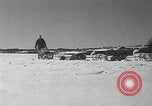 Immagine di Mail in cane slitta trainata Minot Maine USA, 1935, secondo 31 filmato di repertorio 65675055056