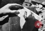 Image of American and Russian troops Germany River Elbe, 1945, second 52 stock footage video 65675055064