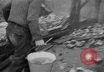 Immagine di 1° francese dell esercito nella seconda guerra mondiale Mulhouse Francia, 1944, secondo 24 filmato di repertorio 65675055072