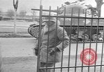 Immagine di 1° francese dell esercito nella seconda guerra mondiale Mulhouse Francia, 1944, secondo 46 filmato di repertorio 65675055072