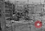 Image of British MPs visiting Buchenwald Concentration Camp Buchenwald Germany, 1945, second 10 stock footage video 65675055080