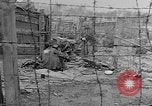 Image of British MPs visiting Buchenwald Concentration Camp Buchenwald Germany, 1945, second 11 stock footage video 65675055080