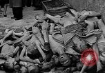 Image of British MPs at Concentration camp Buchenwald Germany, 1945, second 13 stock footage video 65675055081