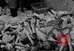 Image of British MPs at Concentration camp Buchenwald Germany, 1945, second 14 stock footage video 65675055081