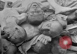 Image of British MPs at Concentration camp Buchenwald Germany, 1945, second 26 stock footage video 65675055081