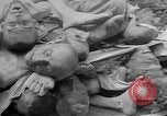 Image of British MPs at Concentration camp Buchenwald Germany, 1945, second 28 stock footage video 65675055081