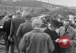 Image of British MPs at Concentration camp Buchenwald Germany, 1945, second 39 stock footage video 65675055081