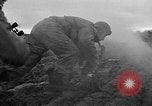Image 1re armée française des troupes Colmar France, 1945, de la seconde 19 séquences d'archives historiques vidéo 65675055082