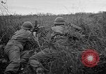 Image 1re armée française des troupes Colmar France, 1945, de la seconde 22 séquences d'archives historiques vidéo 65675055082