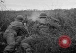 Image 1re armée française des troupes Colmar France, 1945, de la seconde 23 séquences d'archives historiques vidéo 65675055082
